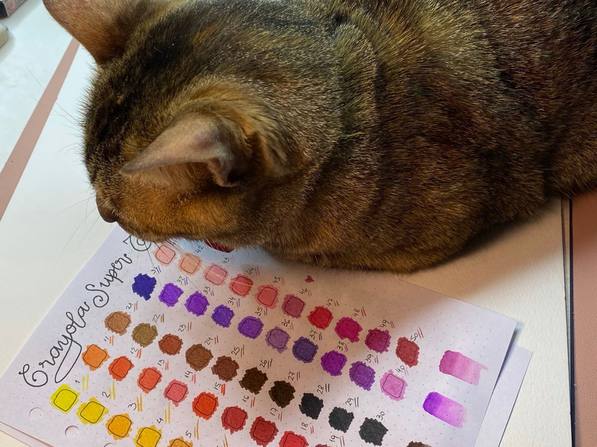 Crayola Súper Tips review